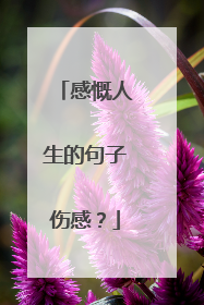 感慨人生的句子伤感？