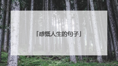 感慨人生的句子