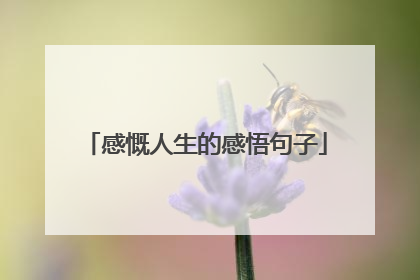 感慨人生的感悟句子