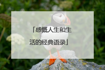 感慨人生和生活的经典语录