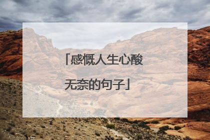 感慨人生心酸无奈的句子