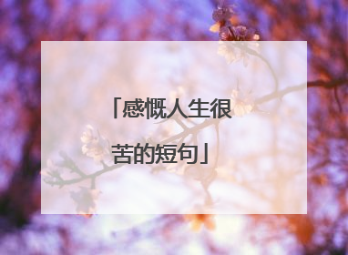 感慨人生很苦的短句