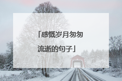 感慨岁月匆匆流逝的句子