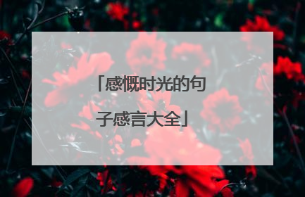 感慨时光的句子感言大全