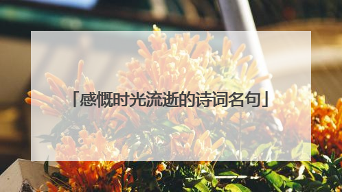 感慨时光流逝的诗词名句