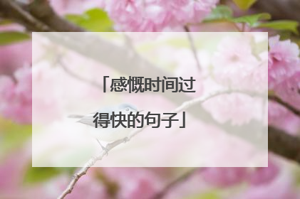 感慨时间过得快的句子