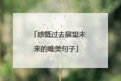感慨过去展望未来的唯美句子