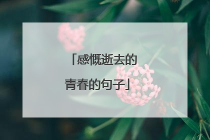 感慨逝去的青春的句子