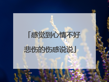 感觉到心情不好悲伤的伤感说说