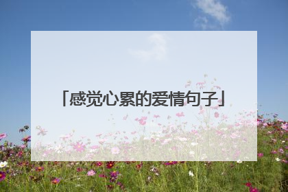 感觉心累的爱情句子