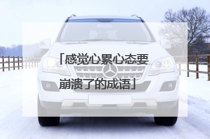 感觉心累心态要崩溃了的成语