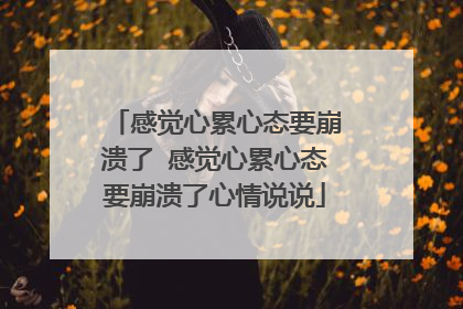 感觉心累心态要崩溃了 感觉心累心态要崩溃了心情说说