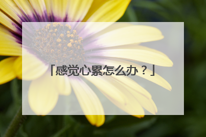 感觉心累怎么办?