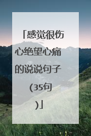 感觉很伤心绝望心痛的说说句子 (35句)