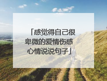 感觉得自己很卑微的爱情伤感心情说说句子