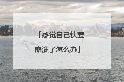 感觉自己快要崩溃了怎么办