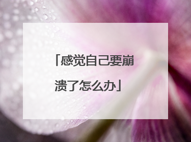 感觉自己要崩溃了怎么办