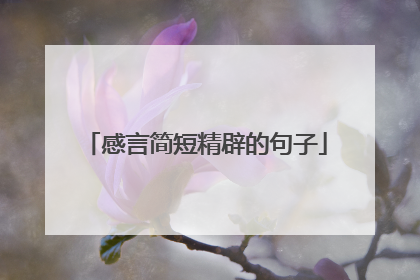 感言简短精辟的句子