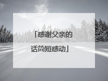 感谢父亲的话简短感动
