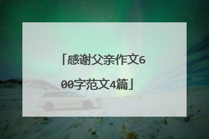 感谢父亲作文600字范文4篇