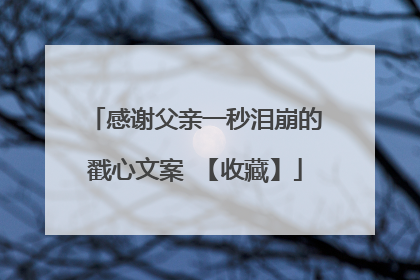 感谢父亲一秒泪崩的戳心文案 【收藏】