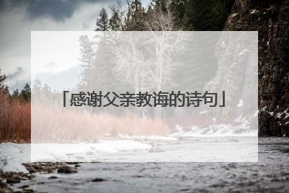感谢父亲教诲的诗句