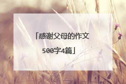 感谢父母的作文500字4篇