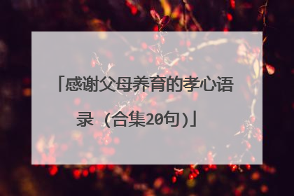 感谢父母养育的孝心语录 (合集20句)