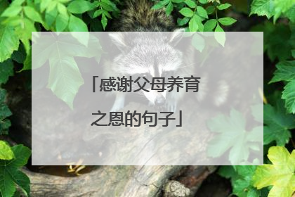 感谢父母养育之恩的句子