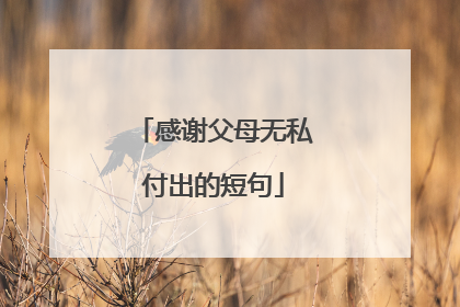 感谢父母无私付出的短句
