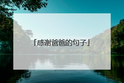 感谢爸爸的句子