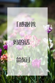 感谢爸妈的话 简短