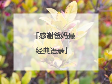 感谢爸妈最经典语录