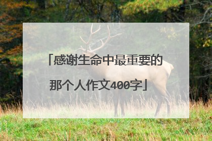 感谢生命中最重要的那个人作文400字