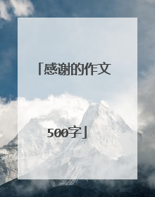 感谢的作文500字