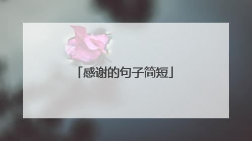 感谢的句子简短