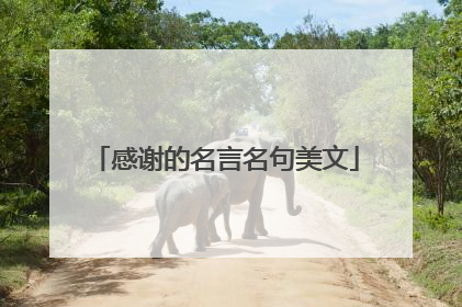 感谢的名言名句美文