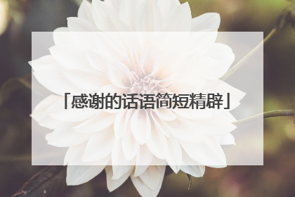 感谢的话语简短精辟