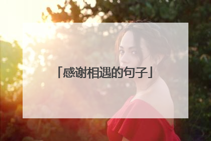 感谢相遇的句子