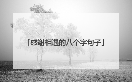 感谢相遇的八个字句子