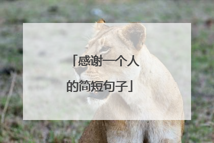 感谢一个人的简短句子