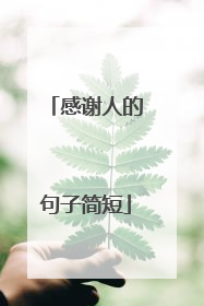 感谢人的句子简短