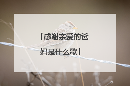 感谢亲爱的爸妈是什么歌