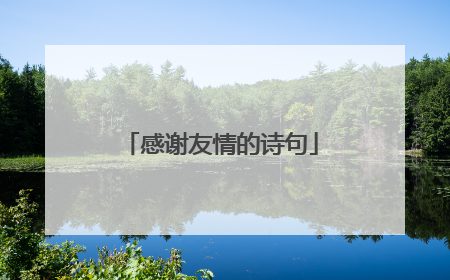 感谢友情的诗句