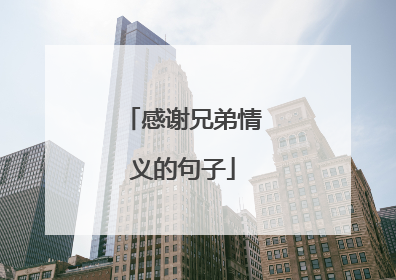 感谢兄弟情义的句子