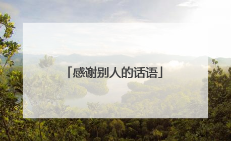 感谢别人的话语