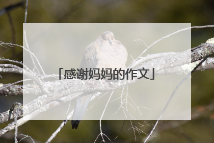 感谢妈妈的作文