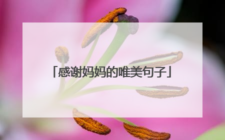 感谢妈妈的唯美句子