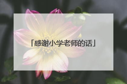 感谢小学老师的话