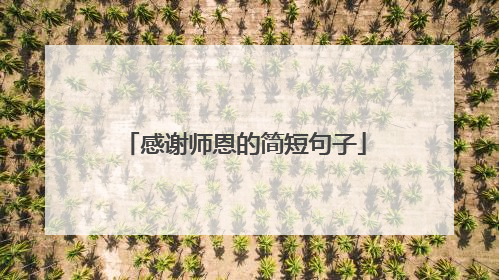 感谢师恩的简短句子